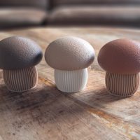 Japandi Mushroom foto 1