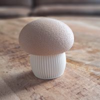 Japandi Mushroom foto 2