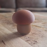 Japandi Mushroom foto 3