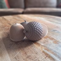 Eikel foto 2