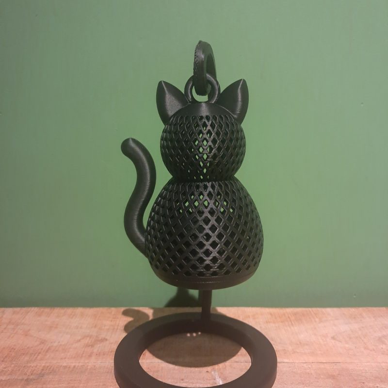 Zwarte kat