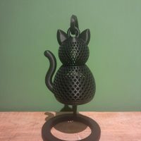 Zwarte kat foto 1
