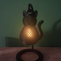 Zwarte kat foto 2